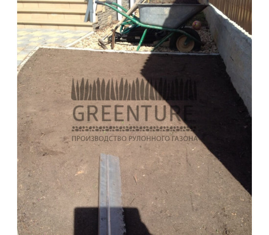 Укладка рулонного газона, сорт «Партерный» - фото - 5