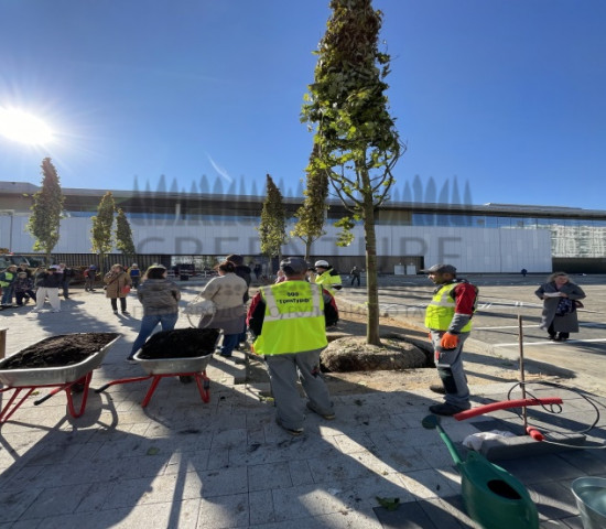 Благоустройство ТРЦ 